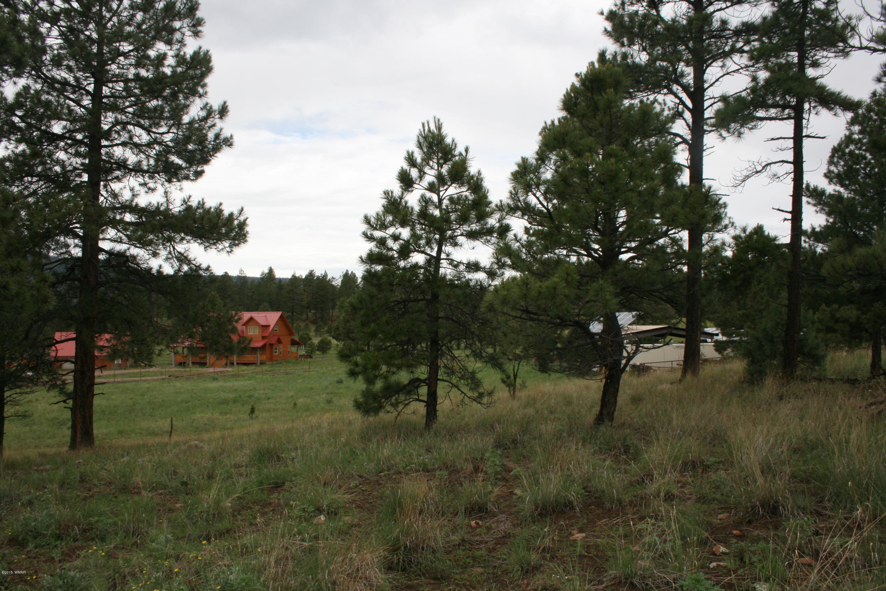 12 F L Z Ranch Road Alpine, AZ 85920 - Photo 9 of 22