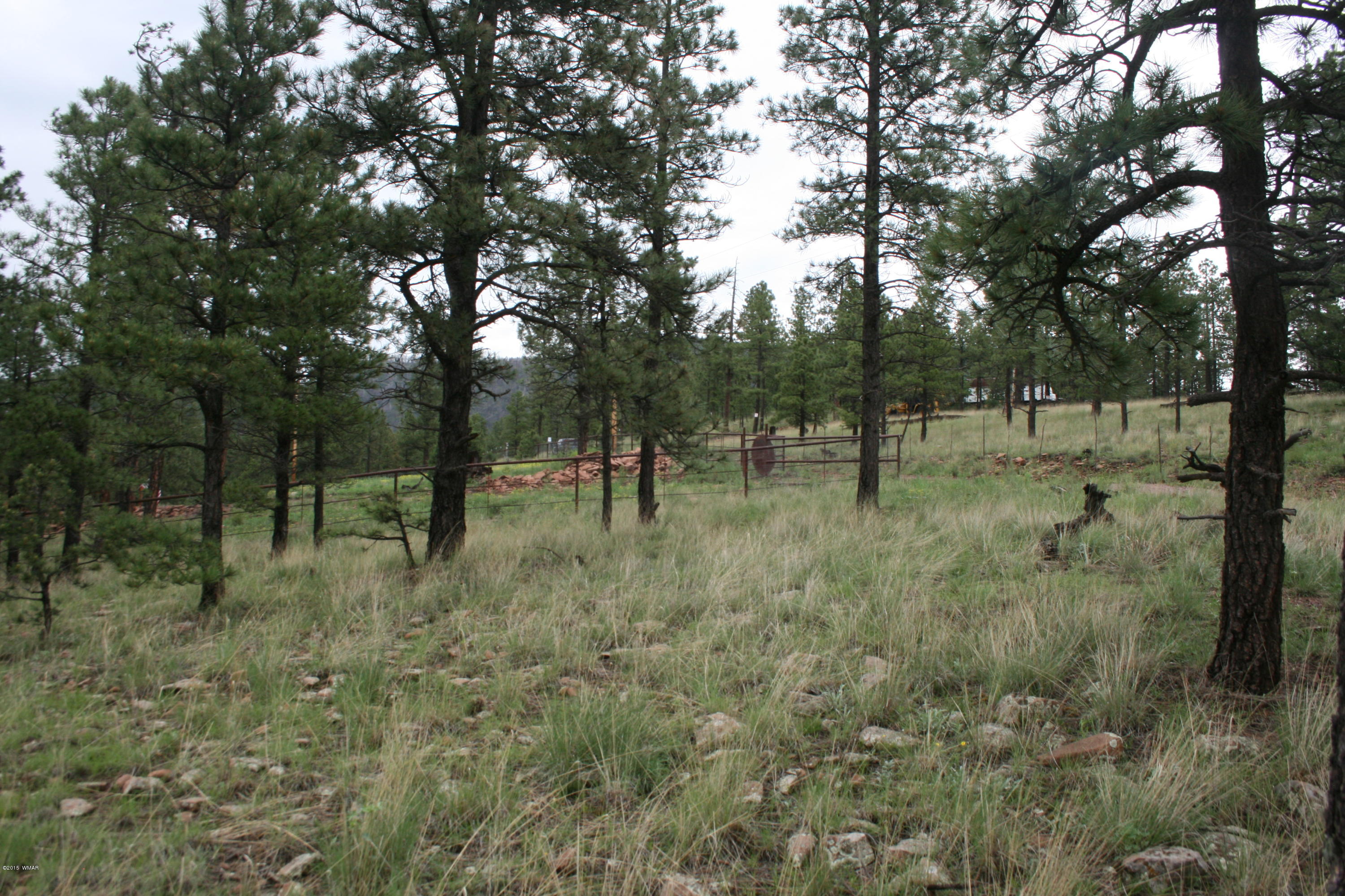 12 F L Z Ranch Road Alpine, AZ 85920 - Photo 10 of 22