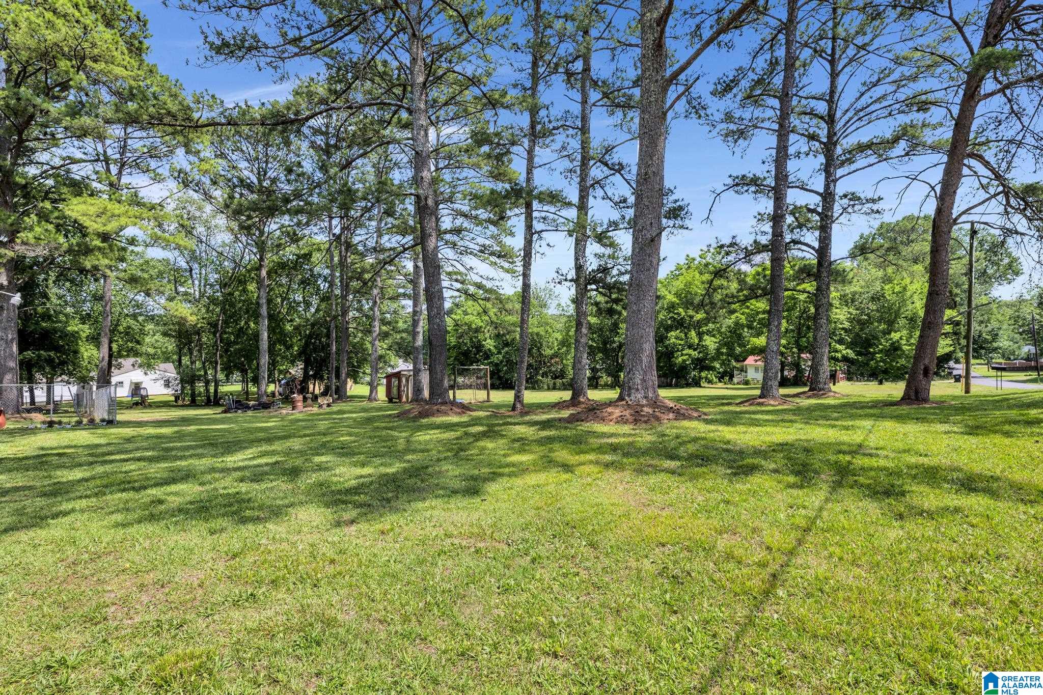 805 Delta Street Bessemer, AL 35020 - Photo 4 of 27