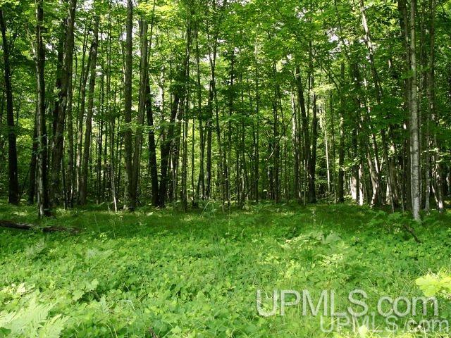 V-wi Point Lane Oconto, WI 54153 - Photo 6 of 7