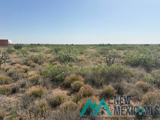 48 State Road 203 Fort Sumner, NM 88119 - Photo 16 of 17 Gallery Image 16