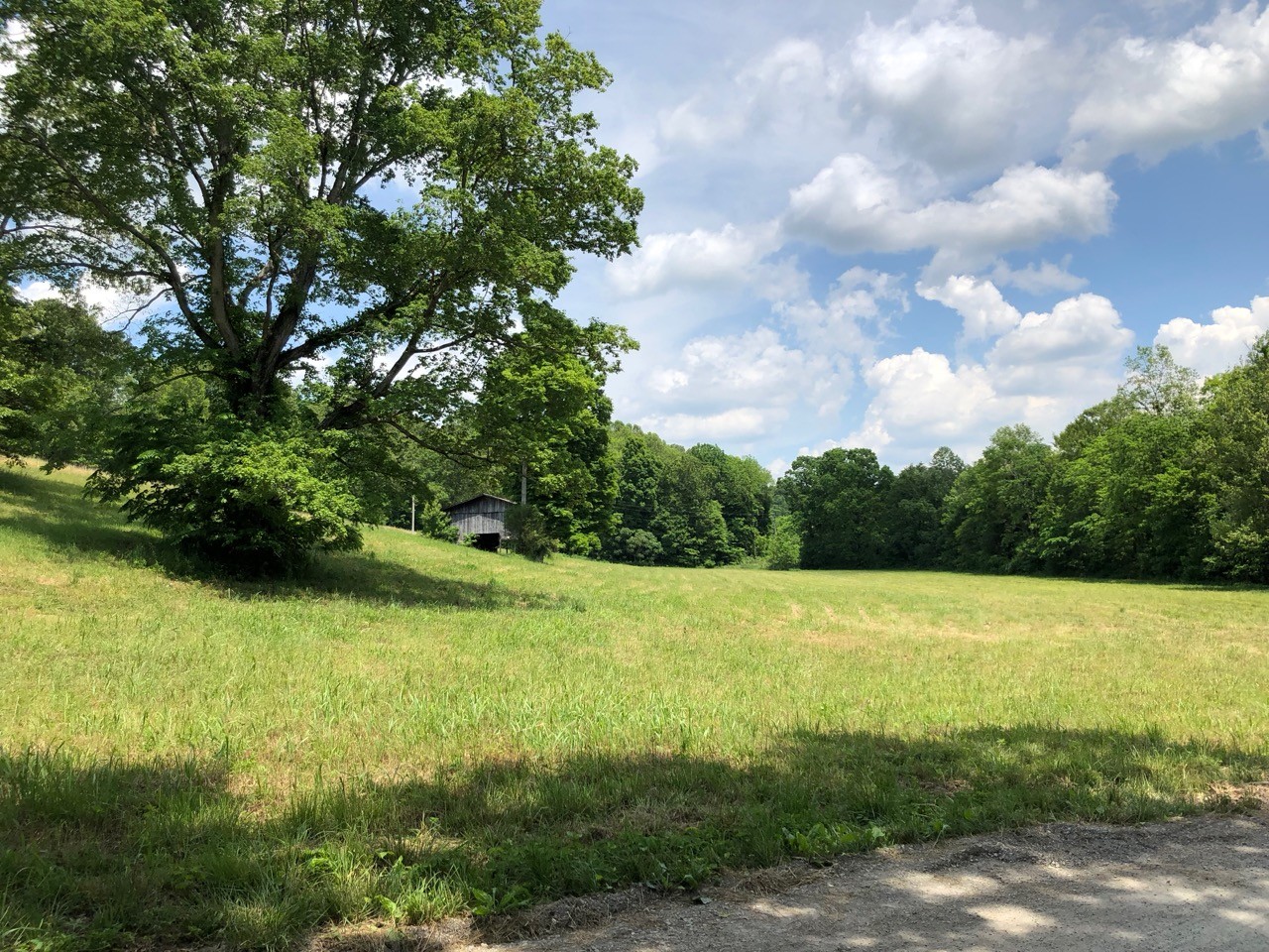 505 Whitley Hollow Road Red Boiling Springs, TN 37150 - Photo 1 of 6 Gallery Image 1