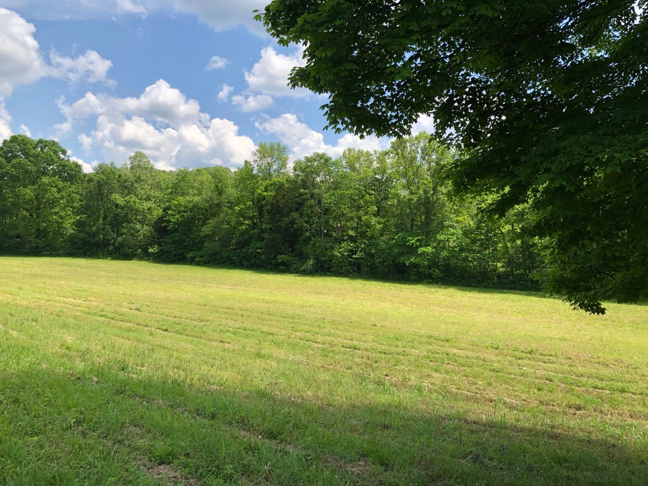 505 Whitley Hollow Road Red Boiling Springs, TN 37150 - Photo 2 of 6 Gallery Image 2