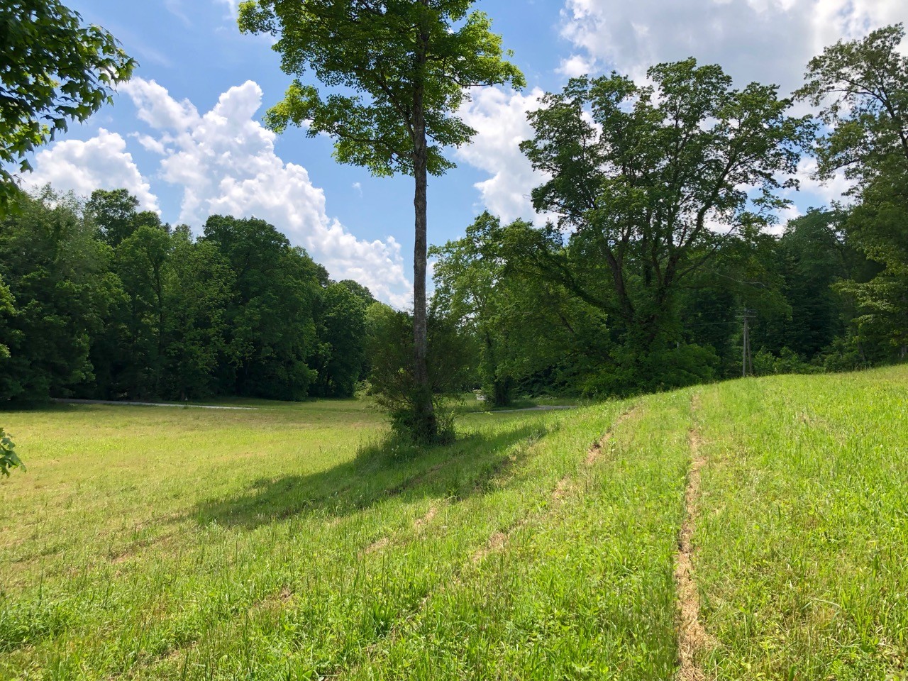505 Whitley Hollow Road Red Boiling Springs, TN 37150 - Photo 3 of 6 Gallery Image 3