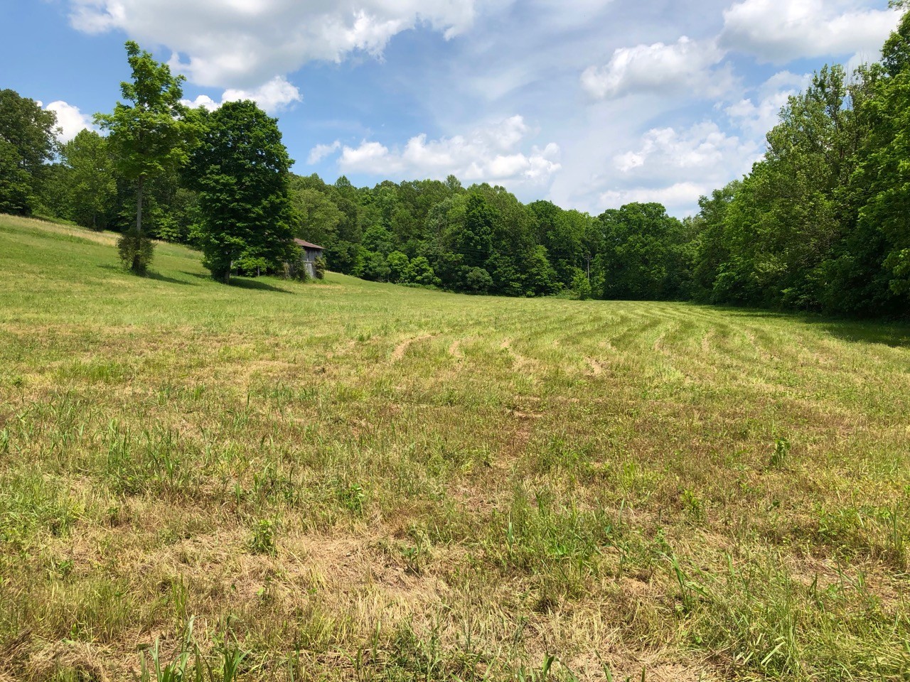 505 Whitley Hollow Road Red Boiling Springs, TN 37150 - Photo 4 of 6 Gallery Image 4