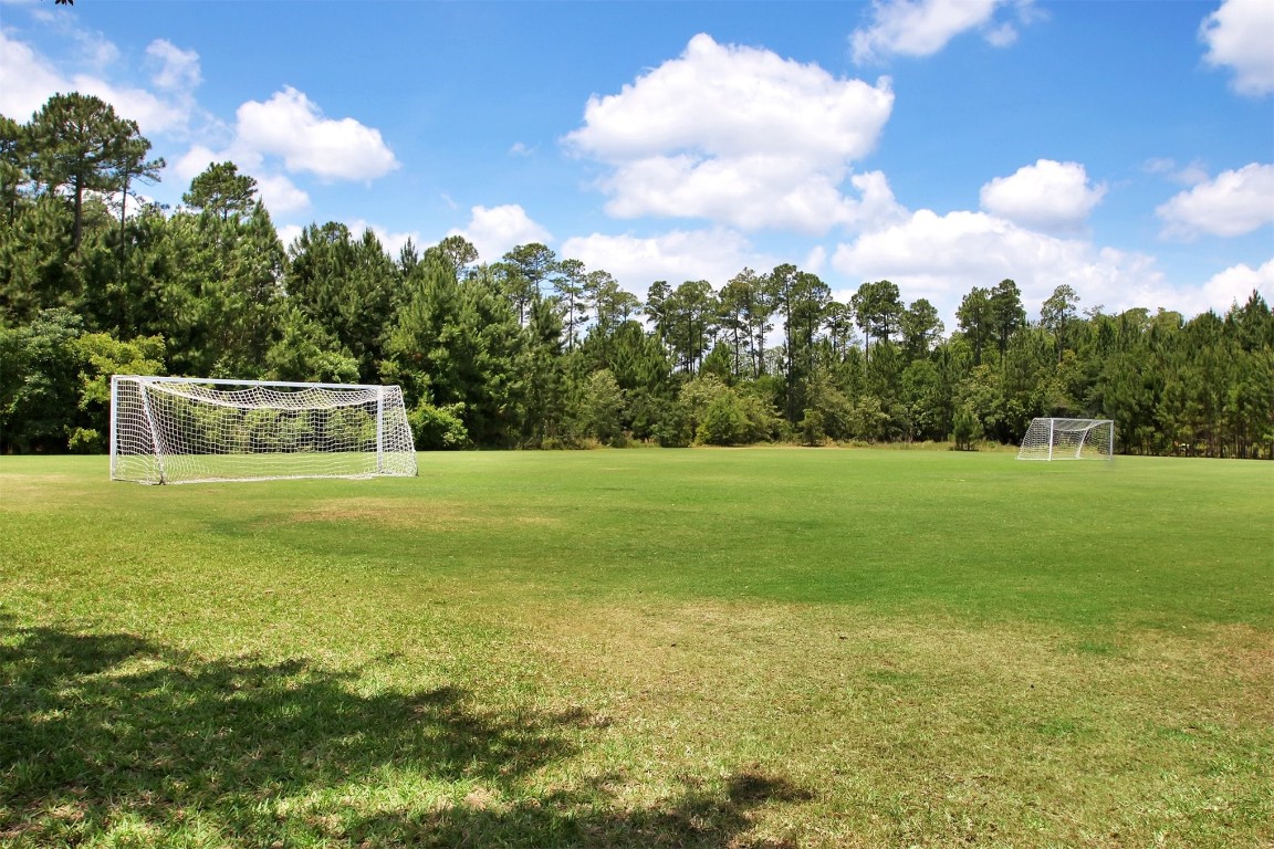 86168 Remsenburg Drive Fernandina Beach, FL 32034 - Photo 55 of 68 a house view with a garden space