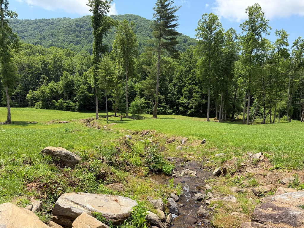 1446 Muskrat Creek Road Hayesville, NC 28904 - Photo 12 of 108