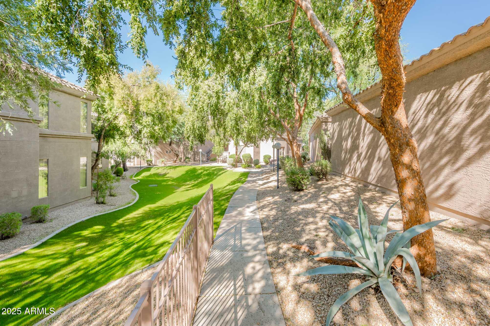 11680 East Sahuaro Drive, Unit 2021 Scottsdale, AZ 85259 - Photo 47 of 51 a view of a backyard with plants and large trees