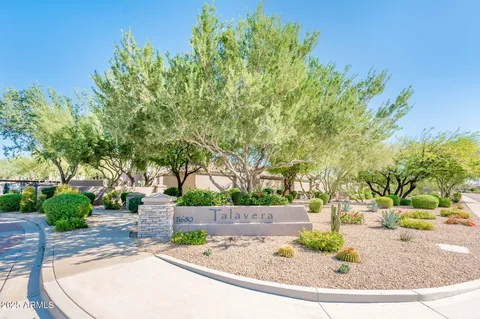 a view of a park with large trees