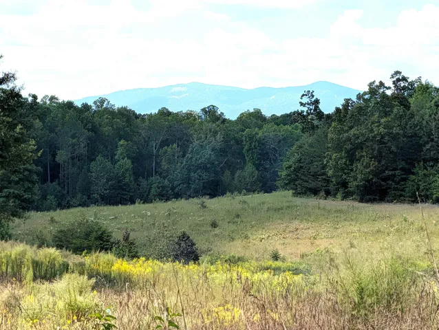 $1,446,652 | 357 Highway Campobello Sc 29322, Campobello, SC 29322