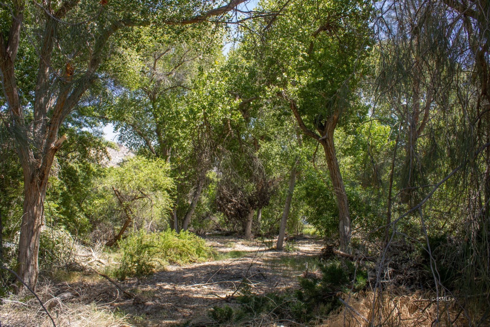 0 Burlando Road Kernville, CA 93238 - Photo 5 of 15