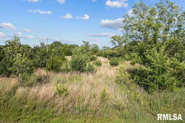 $40,000 | 6 Two 2 Mile Road, Thomson, IL 61285