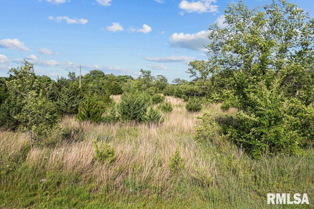 6 Two 2 Mile Road Thomson, IL 61285 - Photo 12 of 14