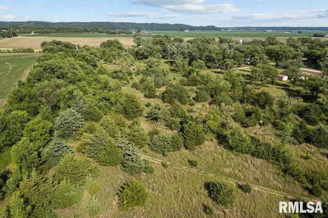 $40,000 | 6 Two 2 Mile Road, Thomson, IL 61285