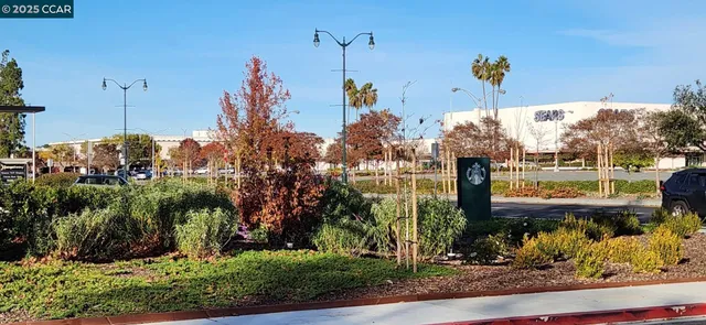 a backyard with a wooden fence and trees