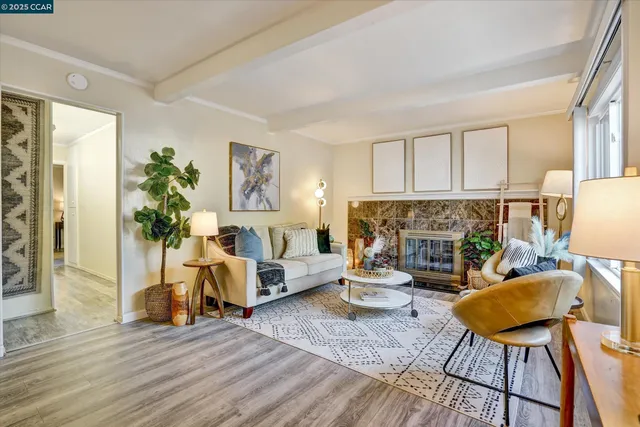 a living room with furniture and a potted plant
