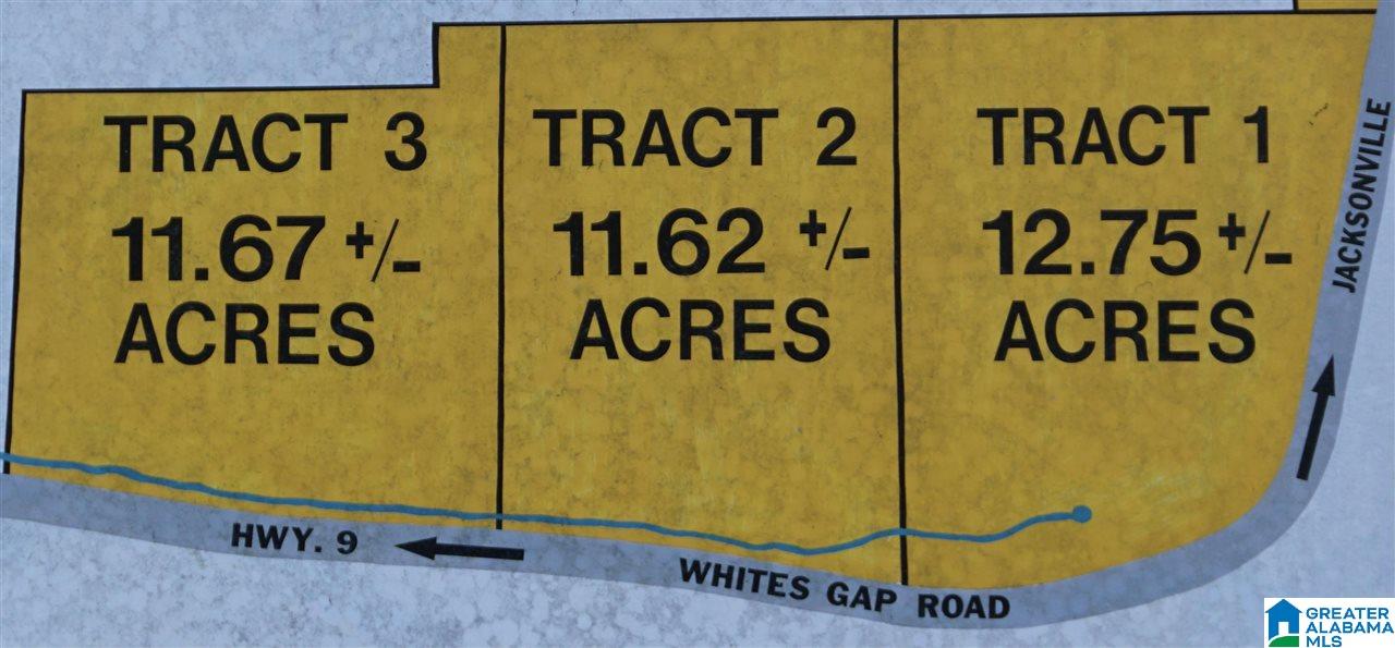 0 Whites Gap Road Jacksonville, AL 36265 - Photo 31 of 31