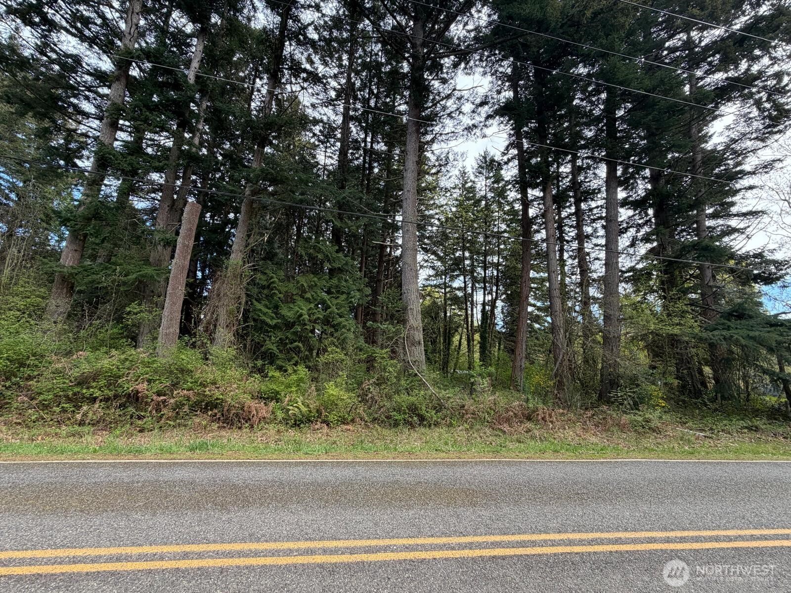 0 Boundary Bay Road Point Roberts, WA 98281 - Photo 1 of 5 a view of a yard