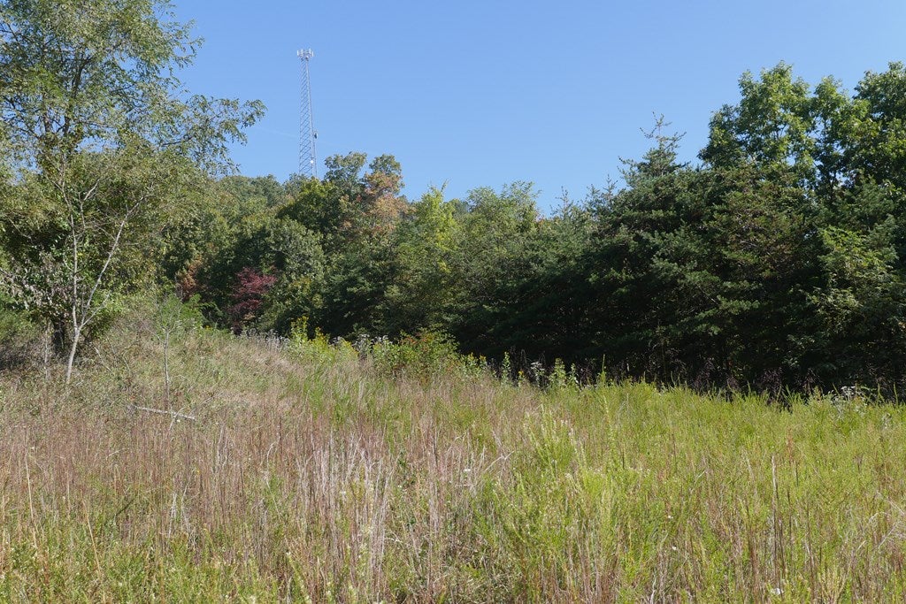 Tbd Hall Hollow Road, Unit 1 Austinville, VA 24312 - Photo 47 of 76 Gallery Image 47