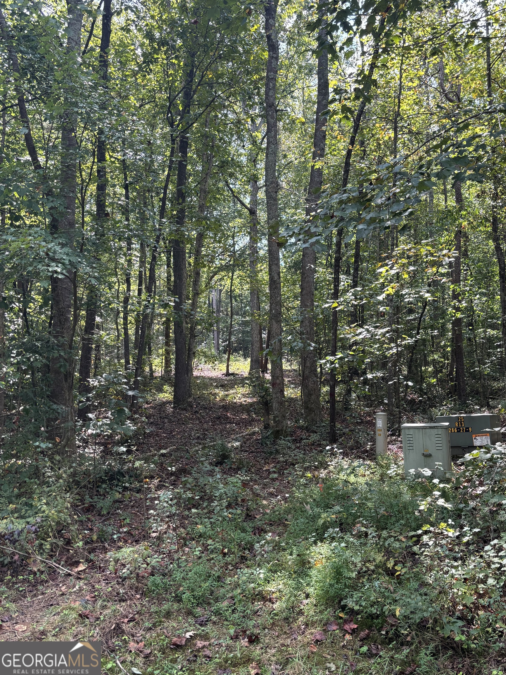 535 Deer Chase Toccoa, GA 30577 - Photo 2 of 7 a view of a forest with trees in the background