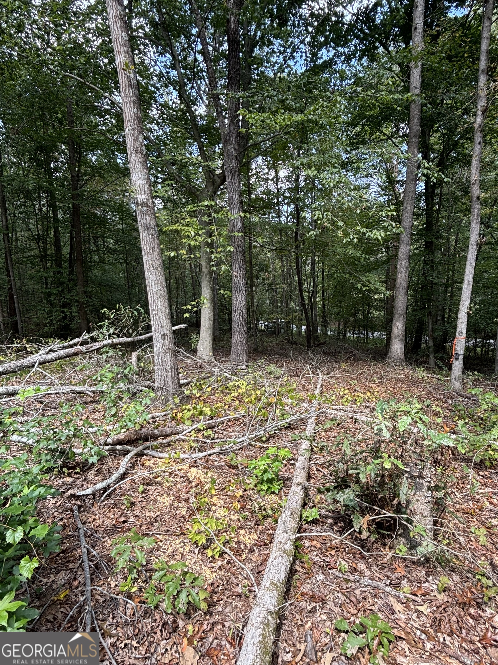 535 Deer Chase Toccoa, GA 30577 - Photo 4 of 7 a backyard of a house with lots of green space