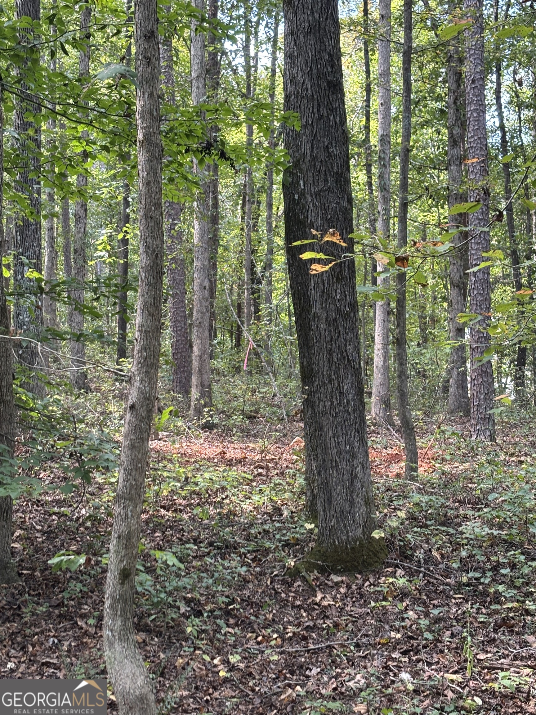 535 Deer Chase Toccoa, GA 30577 - Photo 7 of 7 a view of swing