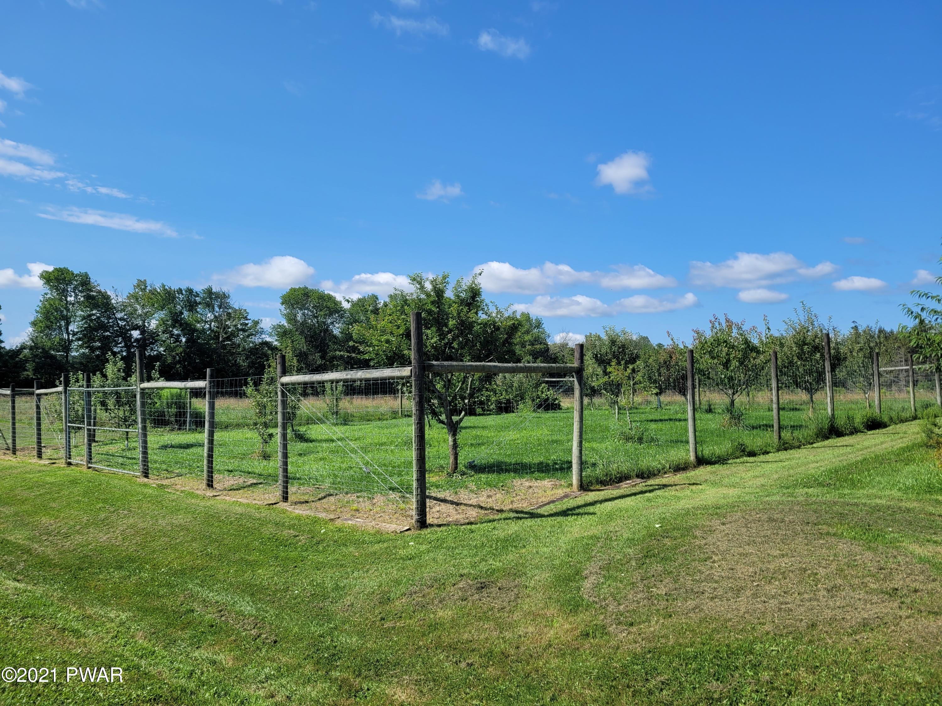 Canaan Township Road Waymart, PA 18472 - Photo 5 of 55 One of three fenced orchards