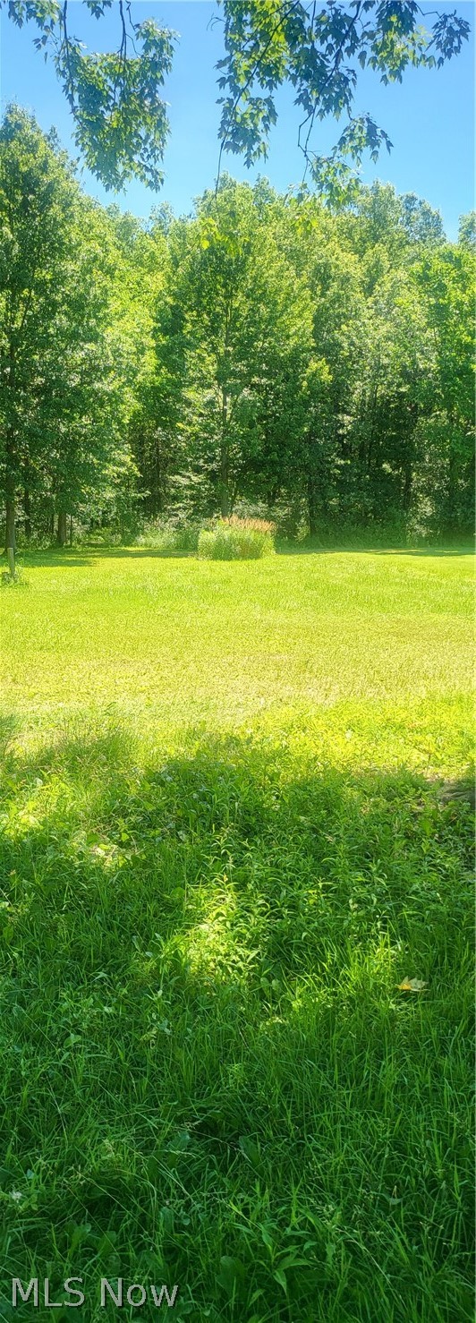 1506 Notman Road Deerfield, OH 44411 - Photo 5 of 22 Gallery Image 5