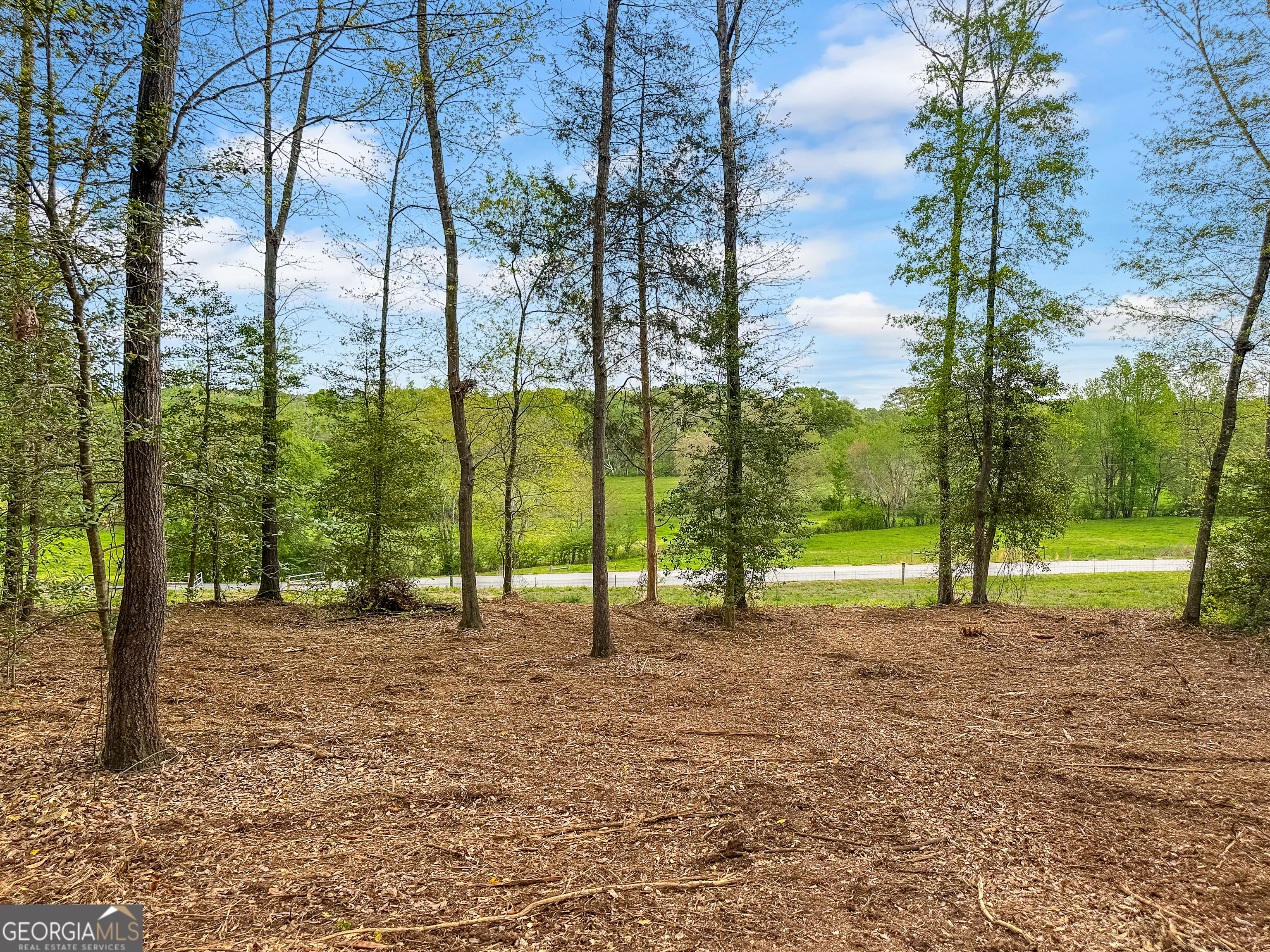 101 Broad River Road, Unit LOT 7 Eastanollee, GA 30538 - Photo 1 of 11