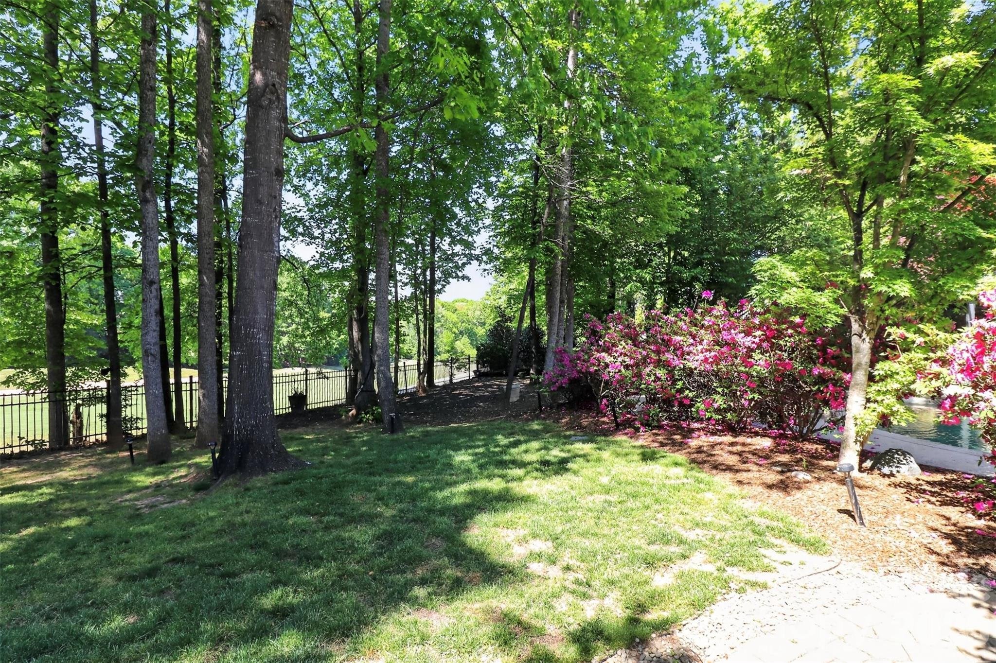 14830 Resolves Lane Charlotte, NC 28277 - Photo 10 of 48