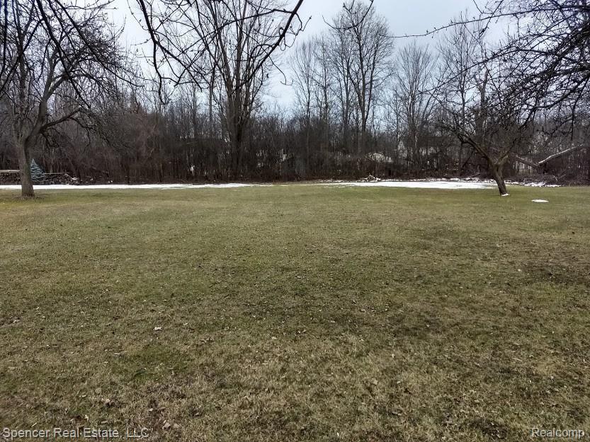 878 Trombley Road Troy, MI 48083 - Photo 6 of 8 Back Half of Property.jpg