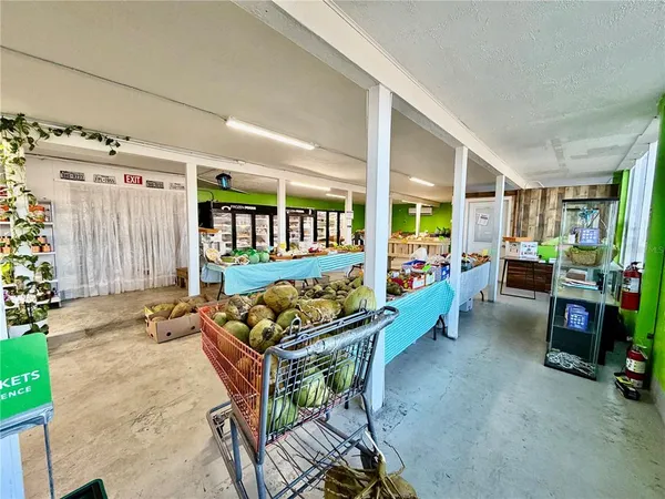 a store filled with lots of different kinds of fruit and vegetables