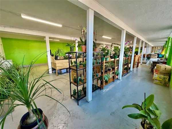 a bed room with lots of furniture and a potted plant