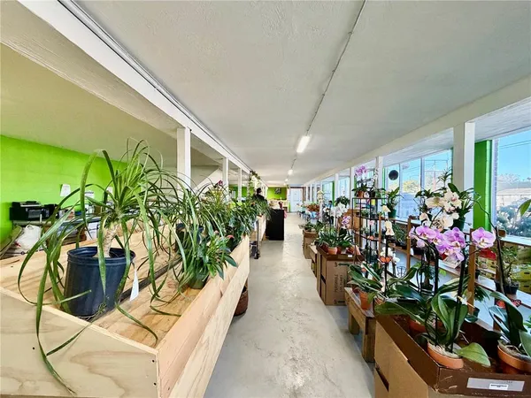 a room with lots of potted plants and a large window