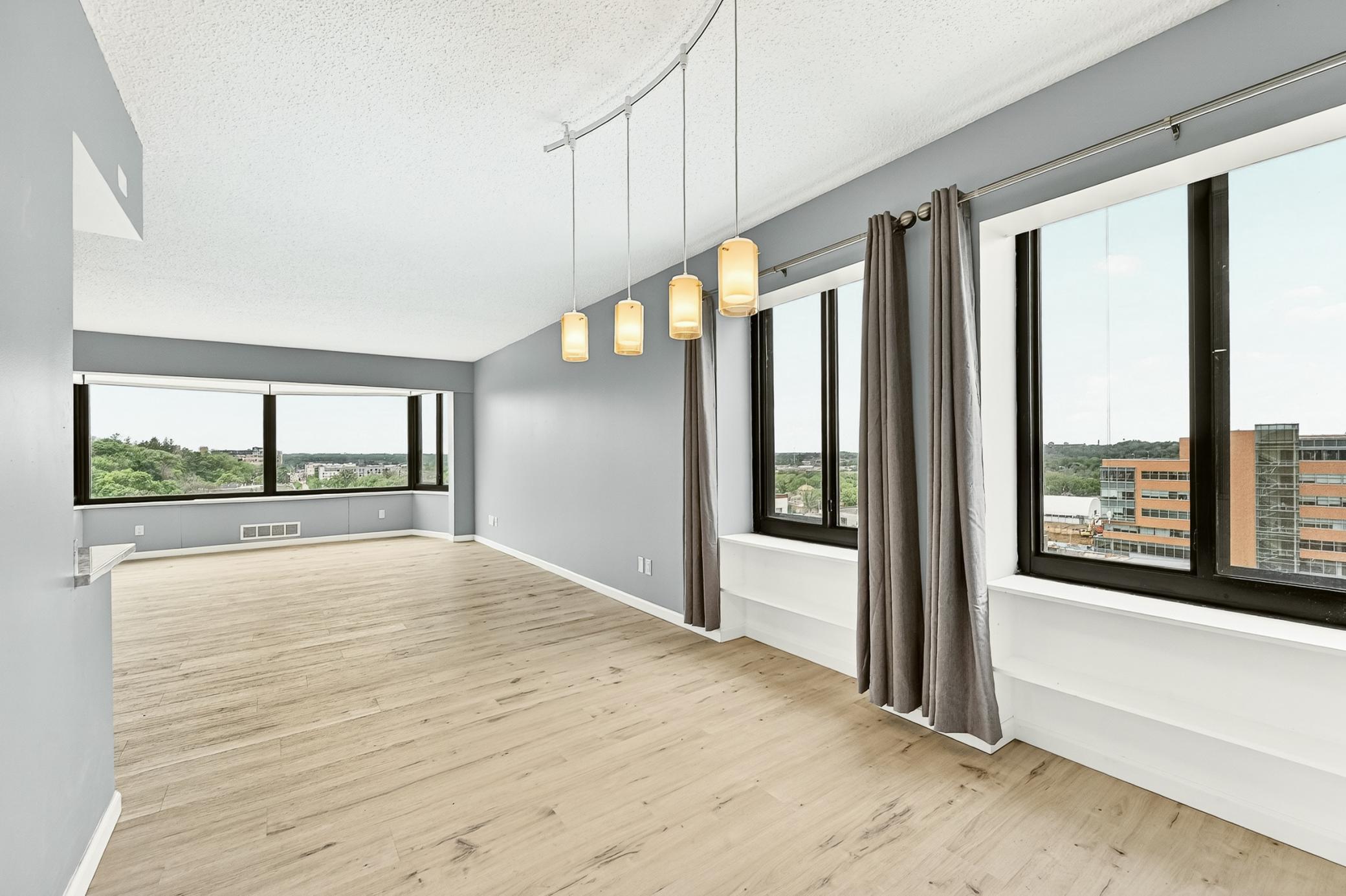 207 5th Avenue Southwest, Unit 1001 Rochester, MN 55902 - Photo 14 of 33