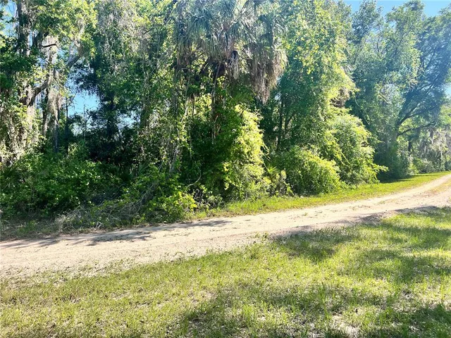 a view of a yard with a tree