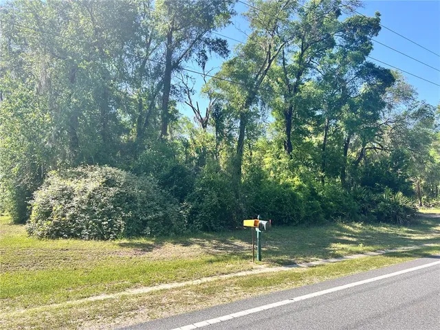 a view of a fountain in the middle of a yard