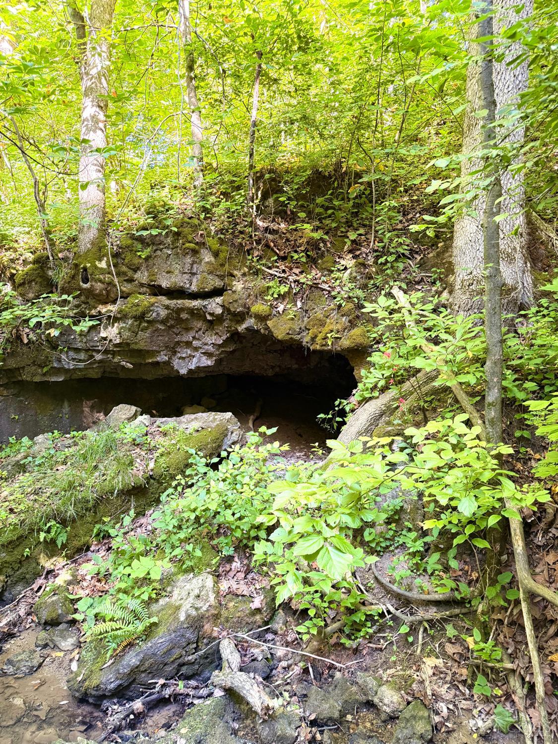 0 North Falls Road Bainbridge, OH 45612 - Photo 29 of 99