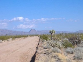 Roy Rogers Way Yucca, AZ 86438 - Photo 2 of 5 a view of a beach with a yard