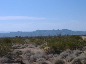 Roy Rogers Way Yucca, AZ 86438 - Photo 4 of 5 a view of a city with mountain in the background