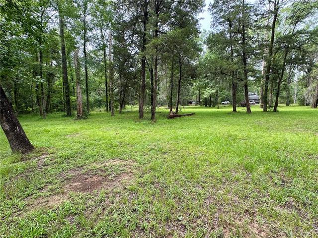 774 Claudes Road Colfax, LA 71417 - Photo 3 of 25
