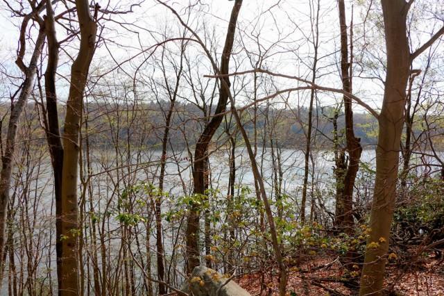 Lot 58 Cross Ridge Road New Canaan, CT 06840 - Photo 1 of 1 a backyard of a house with lots of green space