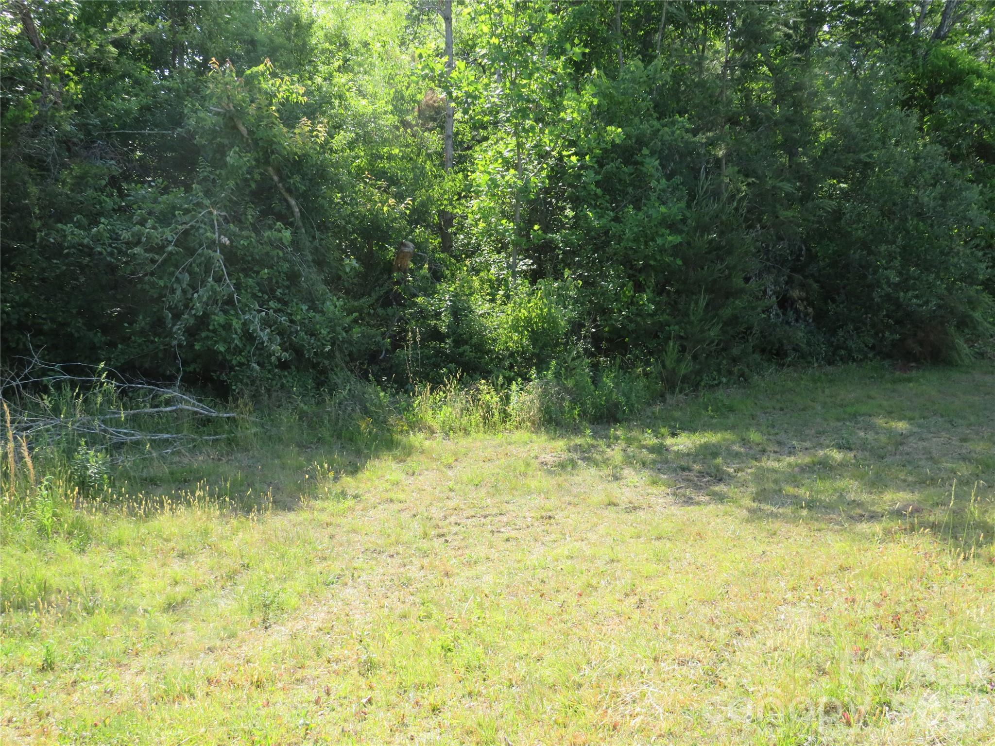 0 Blue Sapphire Lane Rutherfordton, NC 28139 - Photo 22 of 25