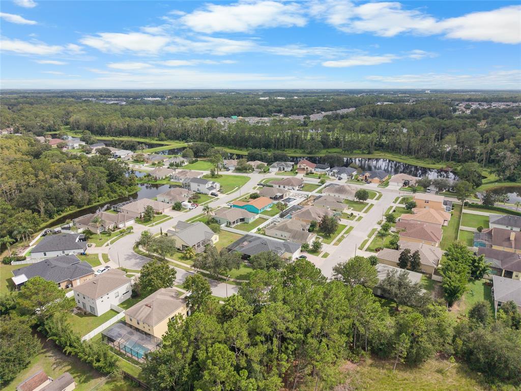 7040 Frascati Loop Wesley Chapel, FL 33544 - Photo 54 of 55 Gallery Image 54