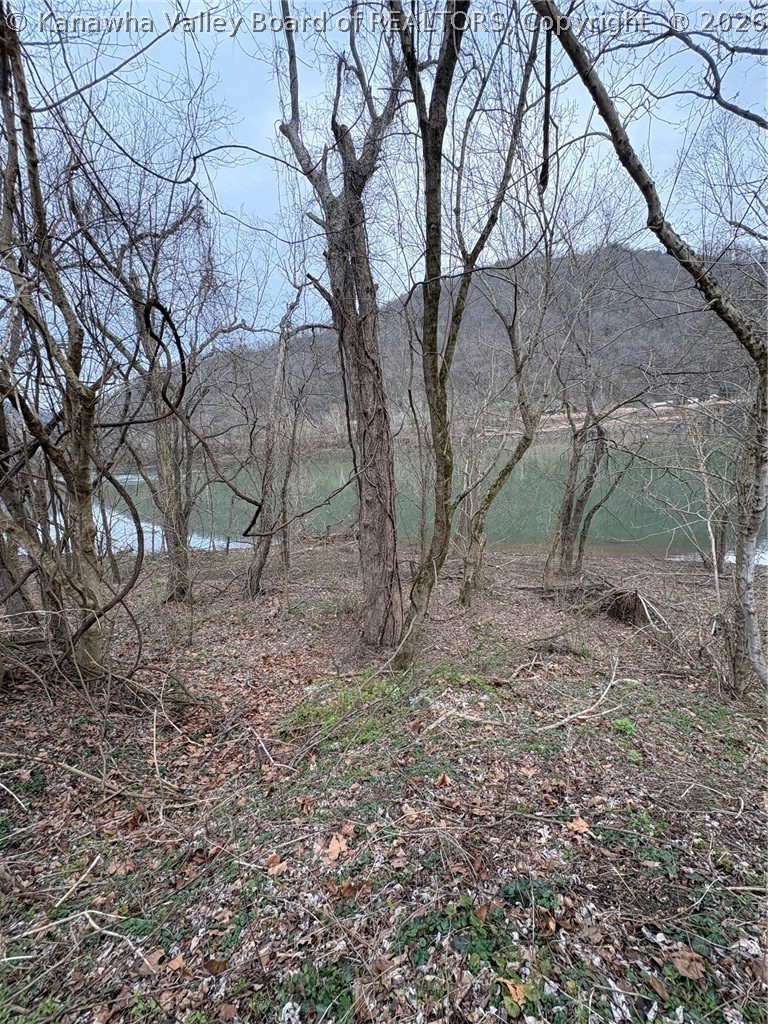 120 River Way Road East Bank, WV 25067 - Photo 8 of 17 Gallery Image 8