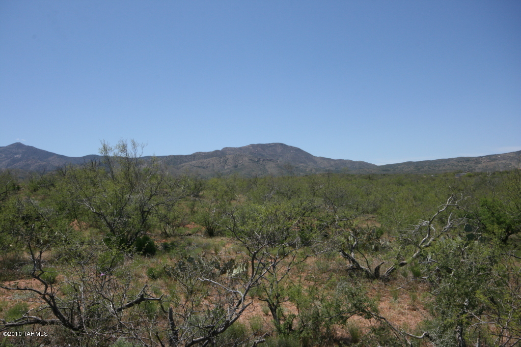81483 East Goldbug Road Oracle, AZ 85623 - Photo 1 of 12