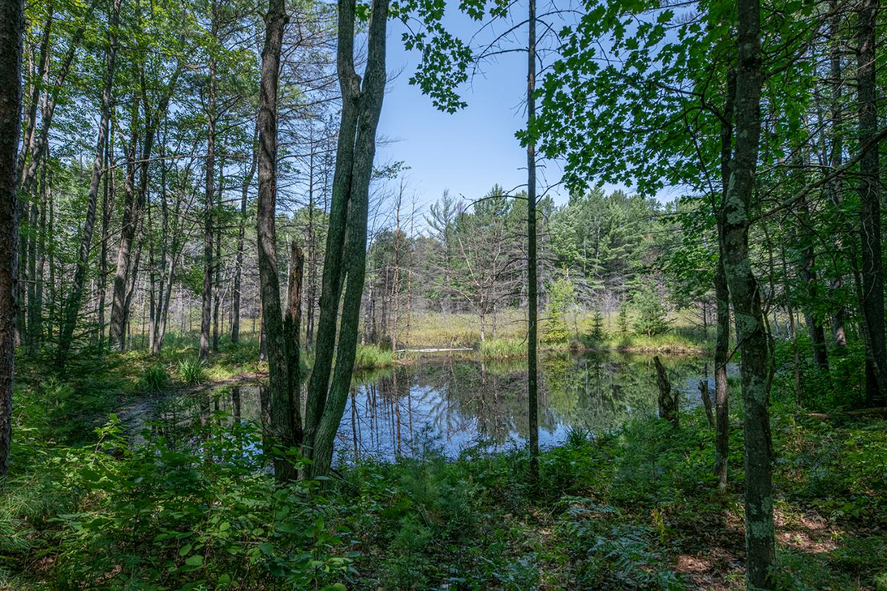 996 Bloom Road Eagle River, WI 54521 - Photo 15 of 23 Gallery Image 15