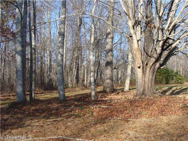 13179 Traphill Road Traphill, NC 28685 - Photo 3 of 16 Other.