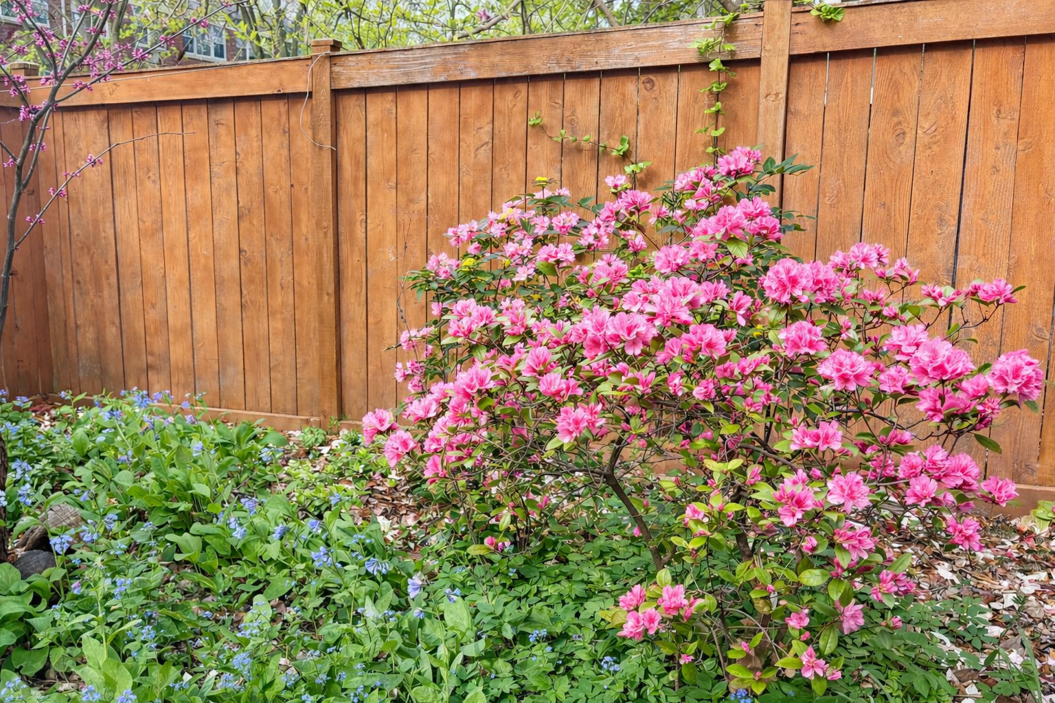 1202 Maple Avenue Evanston, IL 60202 - Photo 36 of 42