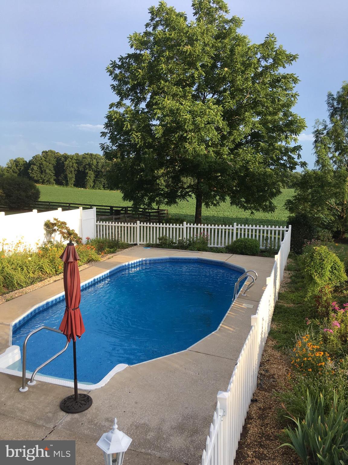 2303 Coon Club Road Westminster, MD 21157 - Photo 44 of 62 In-ground pool (from 2020 , cover's on currently)